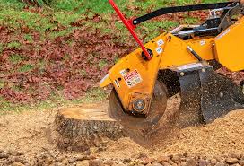 Best Aeration Services  in Midland, PA